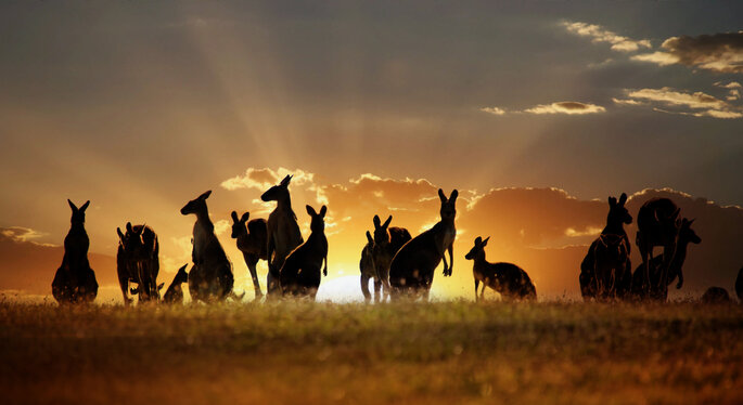 Foto vía Shutterstock