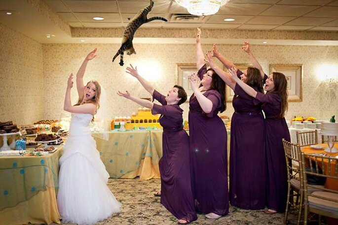 Foto via Facebook.com/bridesthrowingcats