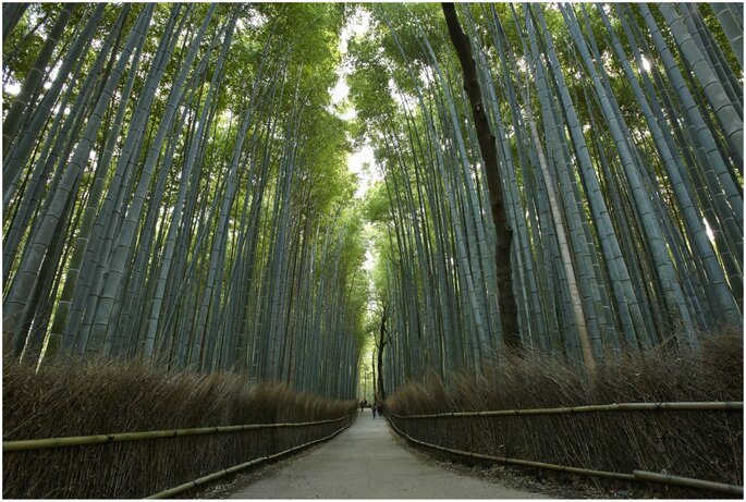 Arashiyama