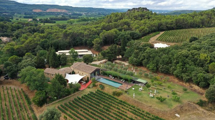Un domaine avec une piscine entouré de vignes et d'oliviers 