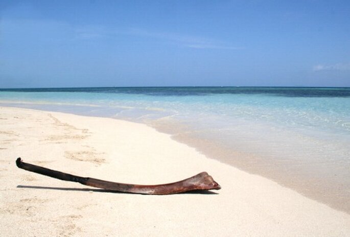 S'unir sur une plage de rêve en Guadeloupe : féerie assurée ! - Photo : Voyage de Noces