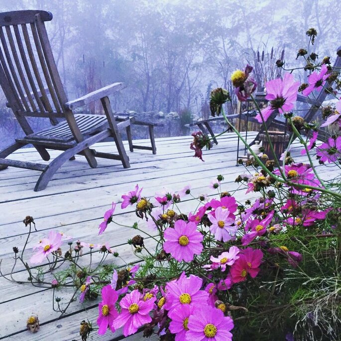 Ti regalo un giardino