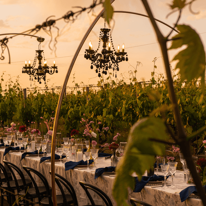 I vigneti dell'Olivella per un matrimonio firmato Magnolia Eventi