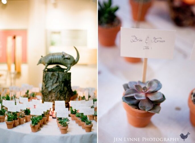 Boda temática, plantas para invitados. fotografía de JenLynne