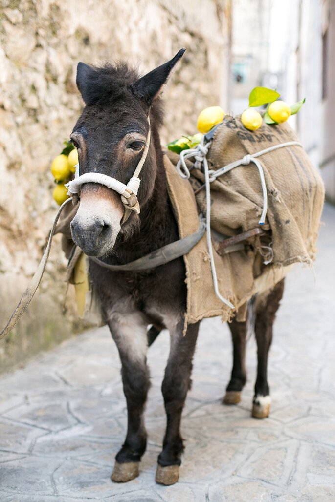 Inspiración desde una novia bohemia en la Costa de Amalfi, Italia. Foto: Anneli Marinovich