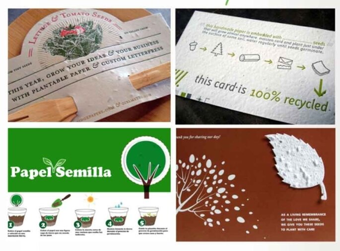 usos de papel semilla por Green Market