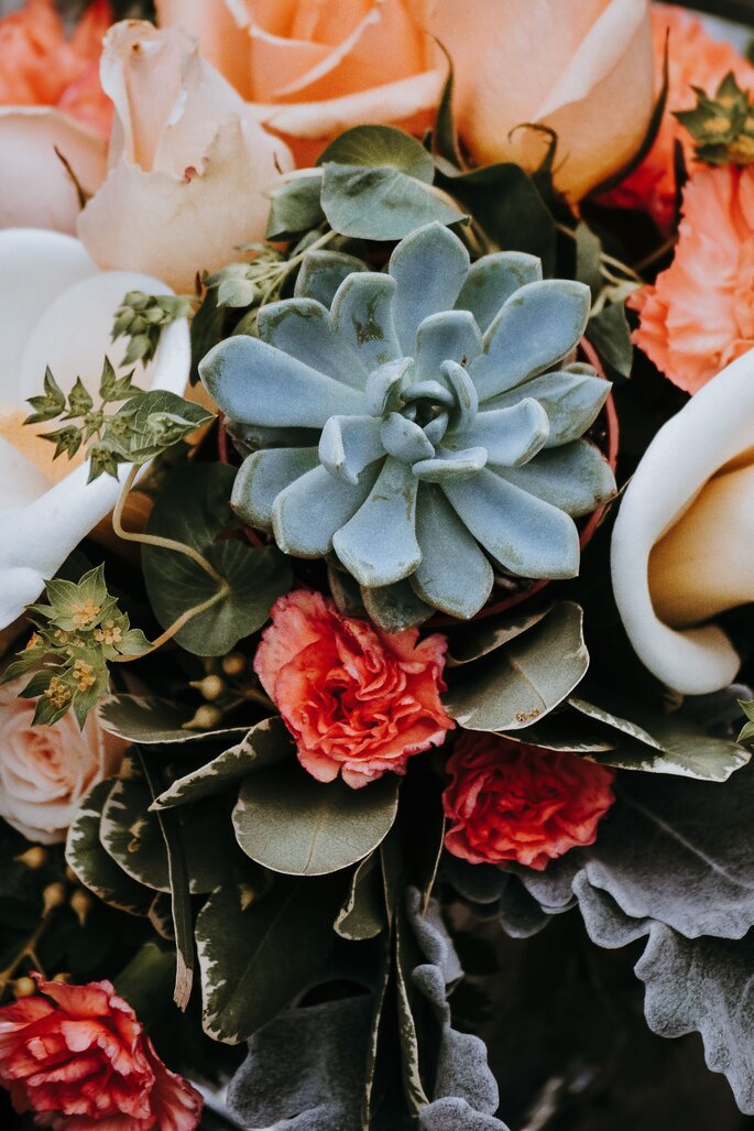 bouquet piante grasse