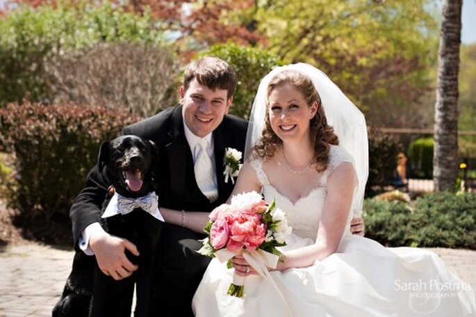 Sesión de fotos de boda con perros - Foto Sarah Postma