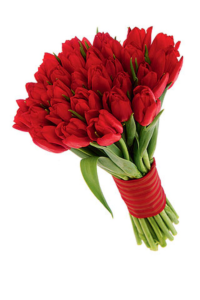 Ramo de novia de tulipanes rojos
