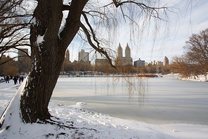 Central Park, New York, sotto la neve