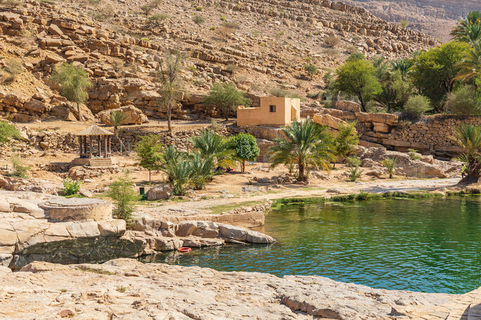 Oasis en plein désert à Oman