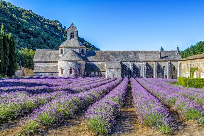 Abbaye de Sénanque - WikiCommons