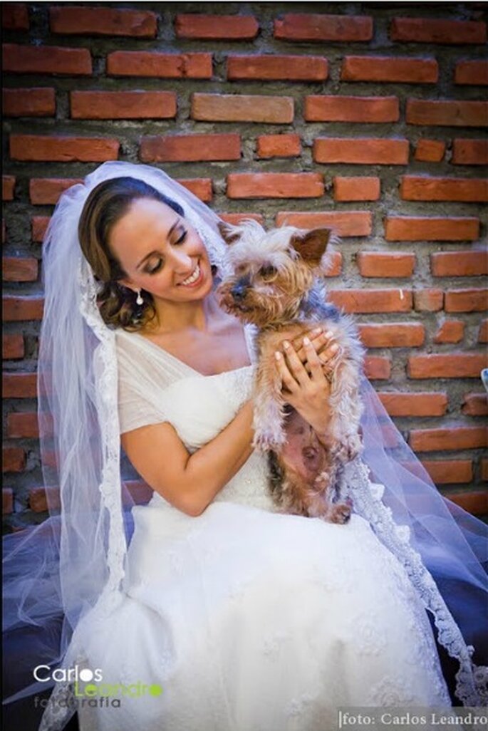 Algunas de las mejores imágenes con mascotas son tomadas en las sesiones preboda por fotógrafos profesionales. Foto: Carlos Leandro