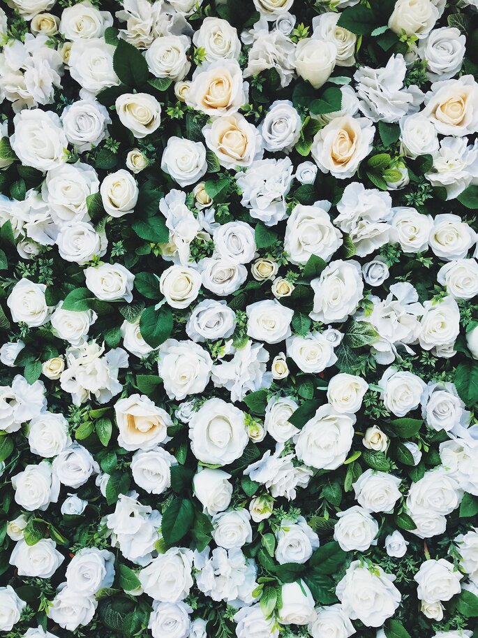 Ścianka kwiatowa z białych róż w stylu glamour