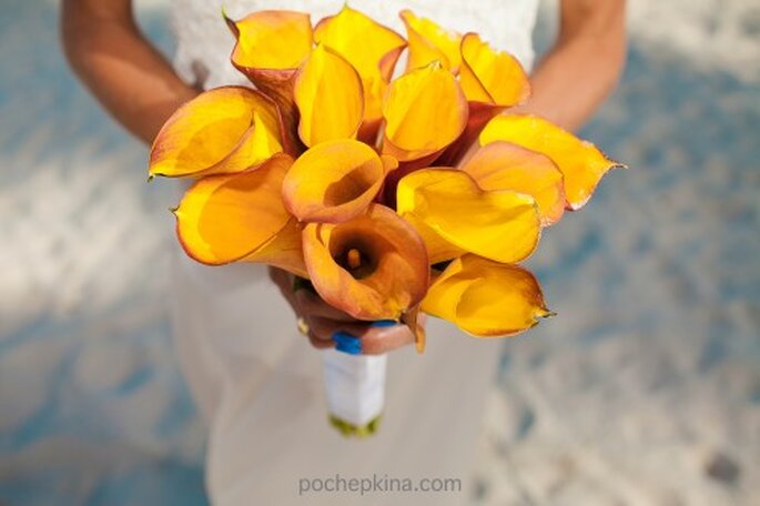Elige flores tropicales en color naranja - Foto Pochepkina