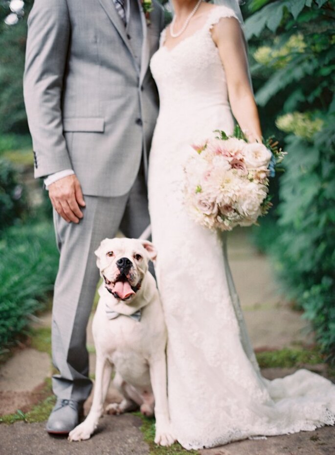 6 tips para incluir a tu mascota en la boda - Odalys Mendez Photography