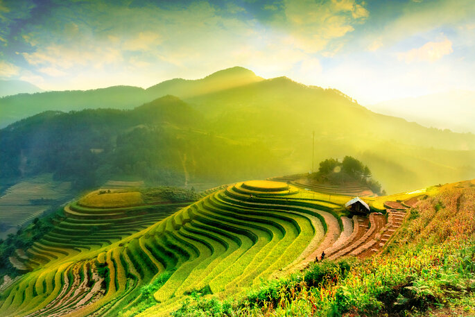 Arrozais Vietnam vista panoramica verde