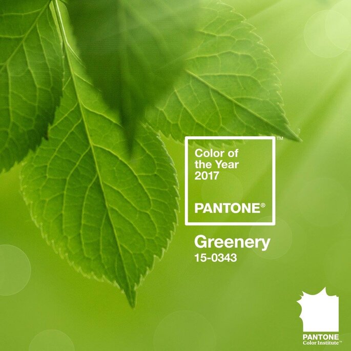 Foto: Pantone