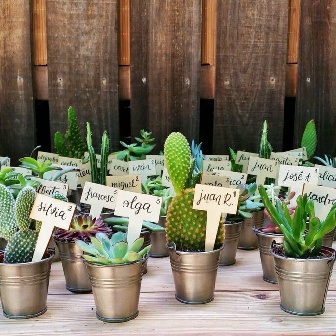 Cactus : 9 idées canons pour une déco Instagrammable