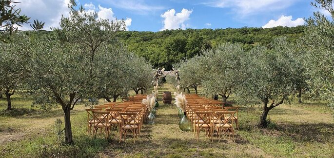 Cérémonie de mariage en plein air à l'ombre des olivier en Provence