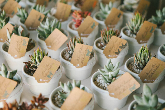 Una boda exótica decorada con cactus y suculentas - Emily Blake Photography