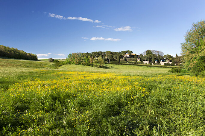 Tenuta di Ripolo