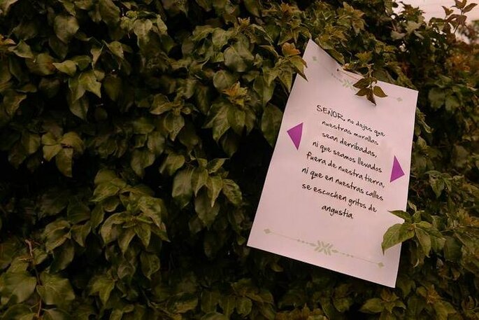 Mesajes suspendidos en los árboles: una idea sencilla y encantadora. Foto: Juya Photographer