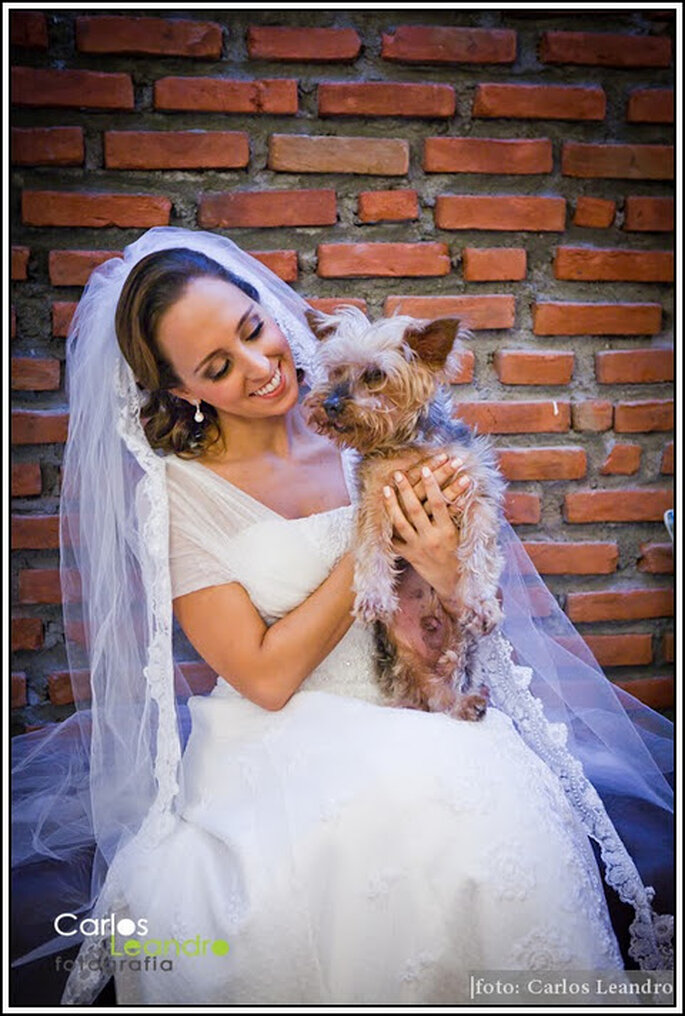 Tu perro el día de tu boda. Foto: Carlos Leandro