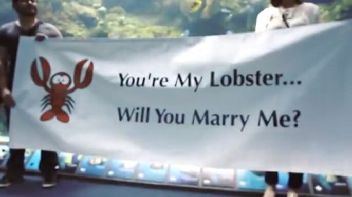 Propon matrimonio debajo del agua - Foto The Heart Bandits YouTube