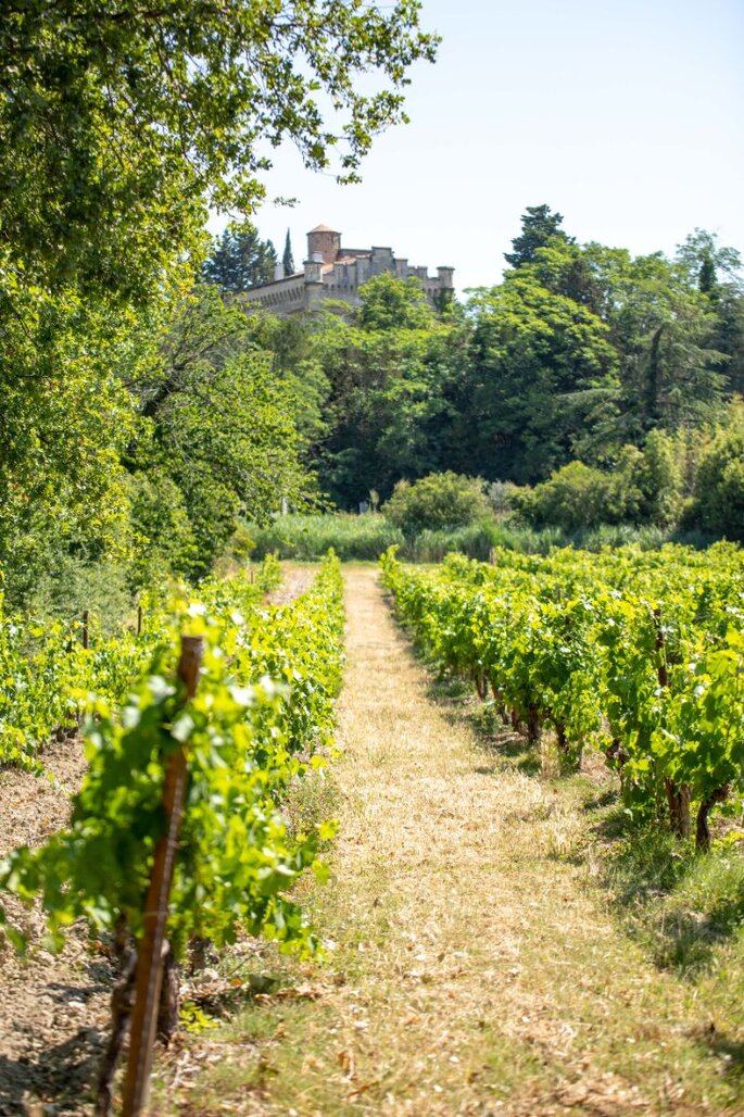vignobles aux alentours du château pour mariages en Provence