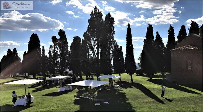 Un parc paysager ombragé par des arbres et des parasols