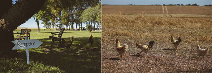 Boda en un campo de Uruguay. Fotografiarte Fine Art Photography
