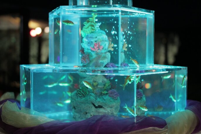 Torta Crystal by Magic Reef
