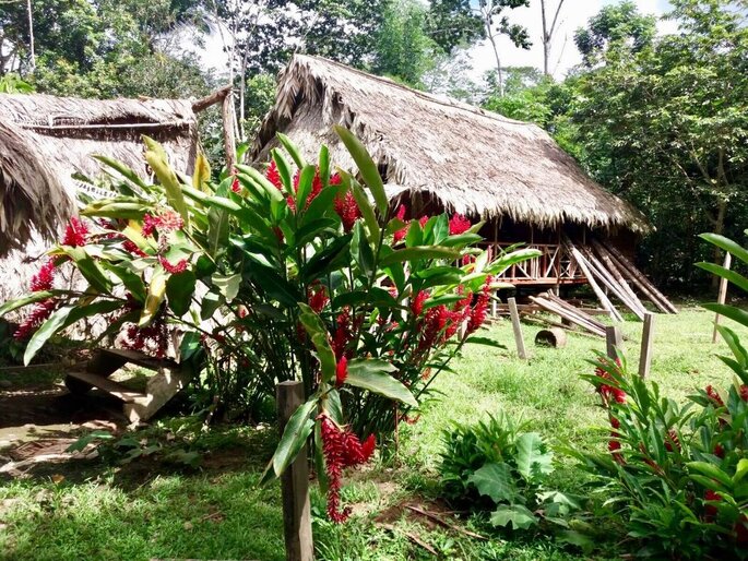 Hébergement dans la nature au Costa Rica