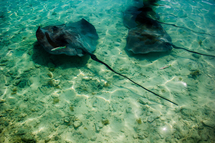 Bora Bora. Créditos: Daniel Bettech via Unsplash