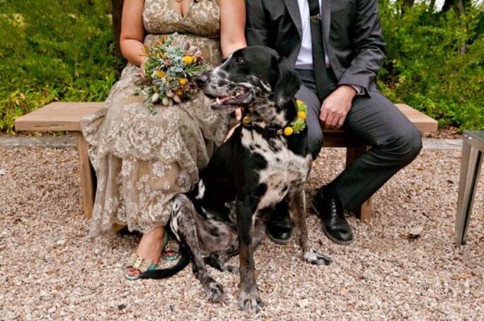 Tu mascota puede formar parte de tu boda - Fotos: Green Wedding Shoes