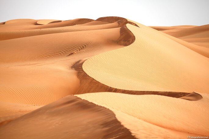 Visite du désert à Oman en voyage de noces