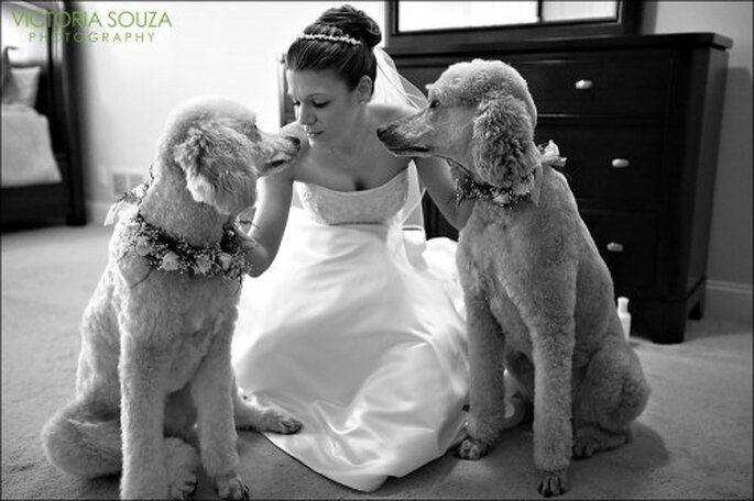 Disfruta de una sesión de fotos de boda con tu perro - Foto Victoria Souza