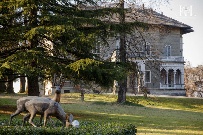 Villa del Bono, giardino, sculture cani