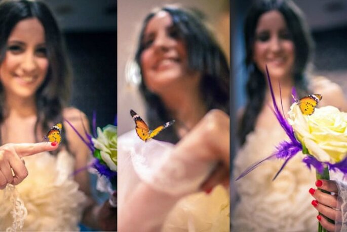 Foto: Mariposas en tu boda