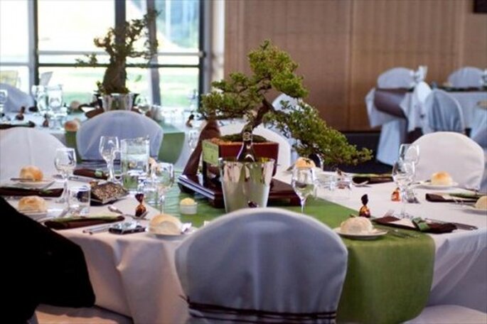 Centro de mesa de boda con bonsai. Vía The Knot foto de Something Blue Photography