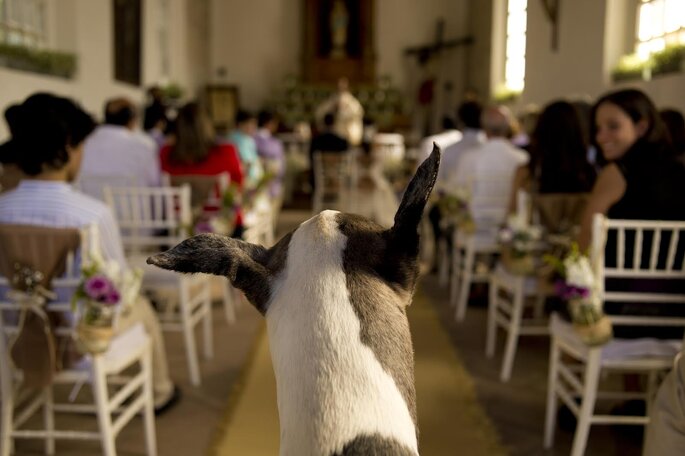 Foto: Fernando García