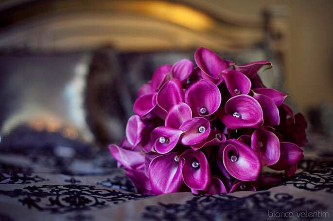 Mini calas violetas. Foto: Bianca Valentim