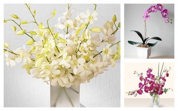 Centros de mesa con orquídeas para decoración floral de boda