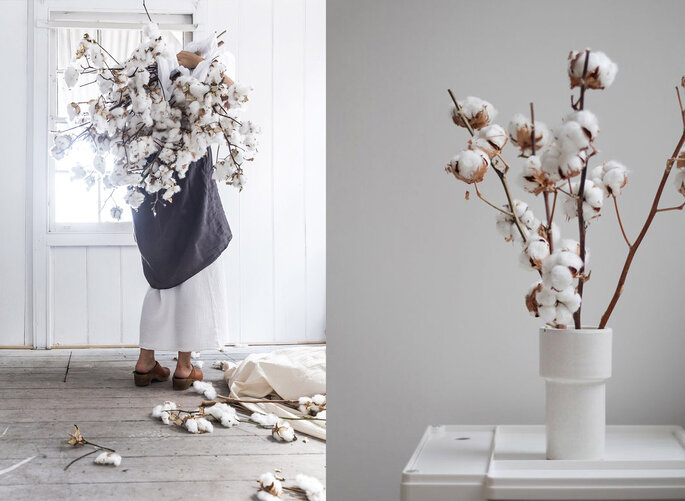 Decorar com a flor de algodão: o pormenor decorativo mais trendy!