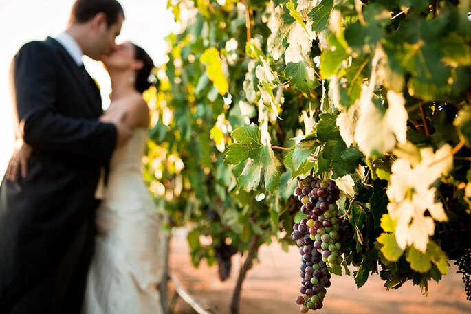 Boda en un viñedo. Foto: Eileen Rivard Villa de Amore