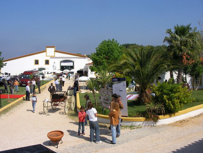 Quinta de Azinhais