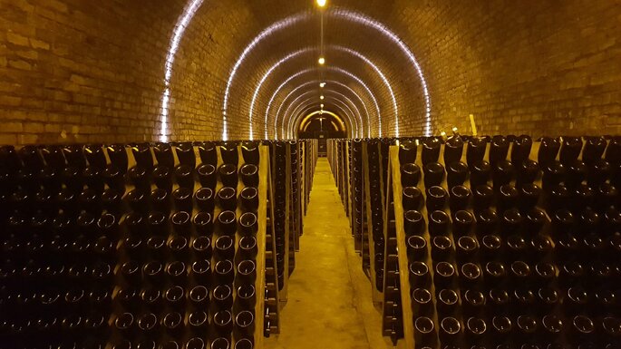 Caves de champagnes 