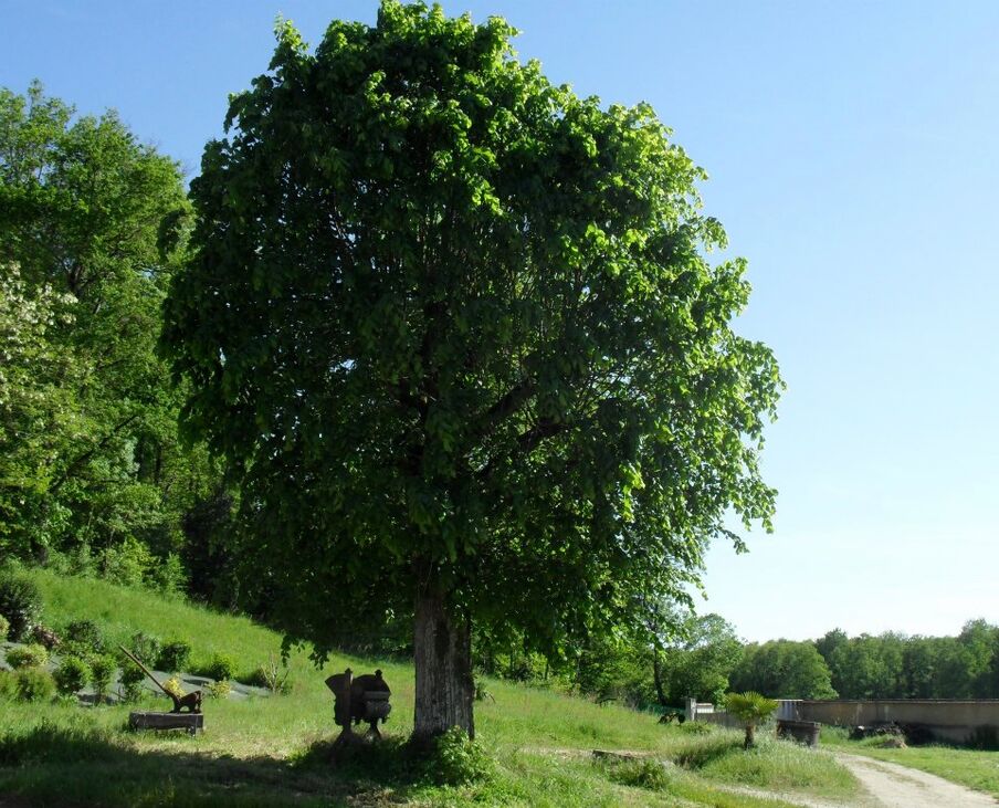 Gîte du Pied Mulet