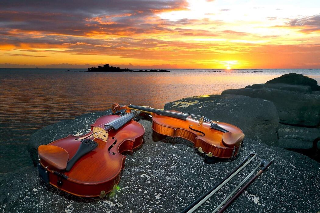 Violin Duo
